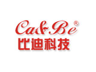 廣西比迪光電科技工程有限責任公司